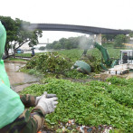 Tormenta tropical Melissa: Basura y lilas se acumulan en el Puente Flotante