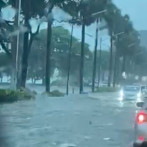Fenómenos naturales, desastres humanos