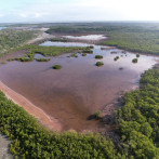 Medio Ambiente aclara origen del color rojizo observado en los manglares de Estero Balsa