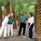 De generación en generación: Palmeras de amor para agradecer a la tierra