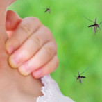 Tres provincias registran el 95% casos de malaria