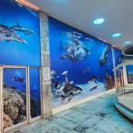 Nuevo mural en el Museo de Historia Natural recrea la riqueza de la vida marina