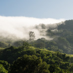 Gobernanza en Madre de las Aguas: el reto de gestionar una gran reserva de biosfera