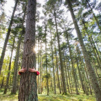 ONU: Invertir en medioambiente puede aumentar el PIB mundial y evitar millones de muertes