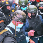 Senasa: 90 días de indagación que llevó al arresto de 10 personas