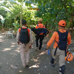 5 días sin la niña Brianna Genao: Usan cuatro perros en búsqueda