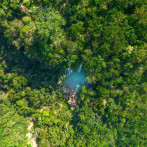 Áreas protegidas: el valor de las zonas de amortiguamiento