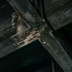 Preocupa estructura debajo del Puente Duarte