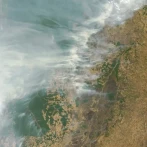 El humo de los incendios aporta fósforo que fertiliza los bosques del Amazonas, según un estudio