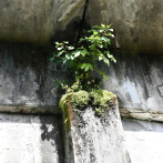 Obras Públicas abre licitación para evaluar situación de cuatro puentes