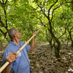 Biodiversidad en Paisajes Productivos: capital natural y cambio climático