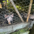 Realizan operativo para recuperar áreas de protección en ribera del río Yuna