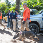 Pausan búsqueda de Brianna tras accidente de un agente del FBI