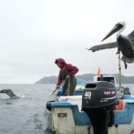 Puerto López en Ecuador, un sangriento escenario de lucha territorial entre grupos de narcotráfico