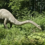 Los grandes dinosaurios y los mamuts eran más lentos de lo que se pensaba, según un estudio