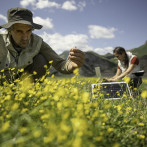 Pérdida de biodiversidad supone un riesgo para la economía