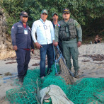 Cocodrilo que había escapado en Puerto Plata fue encontrado con vida