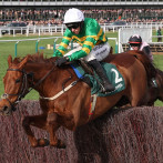 Carne de caballo de carreras servida en plato de comedor social es revelada por un microchip