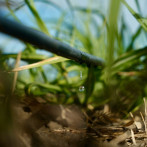 Uso eficiente del agua impulsa avances en sistemas de riego agrícola