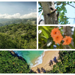 Michela Izzo: “El Observatorio (de Políticas Ambientales y Áreas Protegidas) constituye un mecanismo de control social constructivo”