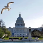 Cámara de Representantes de Estados Unidos avalan proyecto que apoya a los haitianos