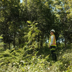 Cámara Minera aboga por la actualización de la Ley Minera y el respeto a los recursos naturales