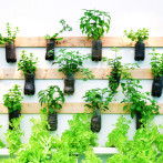 Ideas con tubos, potes y botellas