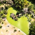 Entrada gratuita y caminata ecológica este 5 de junio en el Jardín Botánico Nacional