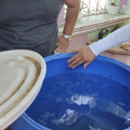 Salud Pública reporta 10 nuevos casos de dengue en la última semana