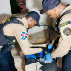 Nueve detenidos y 7,573 gramos de drogas incautadas durante operativos en SDO