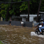 Se reportan 196 casos de leptospirosis en lo que va de año