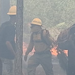 Brigadas controlan incendio forestal en Sierra de Bahoruco