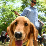 La alcaldía de SDN celebra el Día del Canino en el parque Mirador Norte