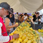 Productores de Baní perderán unos 90 millones de pesos por veto de EE.UU. al mango