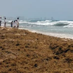 México invertirá US$115 millones para frenar el avance del sargazo en el Caribe