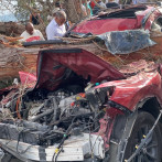 Cuatro personas heridas tras caída de un árbol en la autopista Las Américas