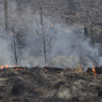 Controlan incendio forestal en Valle Nuevo