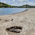 Estados Unidos declara zona de desastre a algunas ciudades y pueblos de Puerto Rico ante sequía