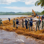 Intervienen Playa Rincón ante acumulación de sargazo