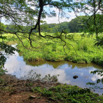 Parque Ecológico Laguna de Aurelio: un refugio para la biodiversidad en Bajos de Haina