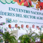 Abinader informa negociaciones con el Gobierno de EEUU para proteger la producción nacional de arroz