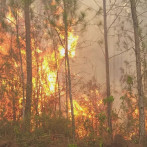 Incendio en Sierra de Bahoruco mantiene amplia humareda en Pedernales y parte de Haití