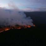 Humareda e incendios devoran pinares y fauna endémica en la Sierra de Bahoruco