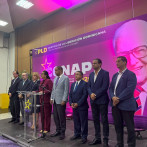 Hora después de críticas de Francisco Javier, PLD pide tener madurez tras suspensión de consulta