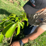 Con la siembra de más de 14 mil plantas inician las jornadas por el Mes de la Reforestación