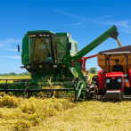 El arroz, crónica de un desastre anunciado