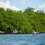 Una semana especial para promover los servicios ecosistémicos de las reservas de biosfera dominicanas
