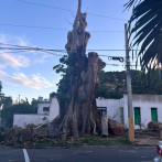 Con menos vegetación, las noches calurosas se multiplican por seis en la capital