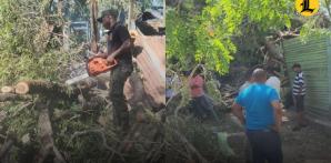 Construirán casa a doña Mirita destruida por caída de un árbol en Galván