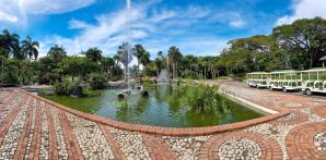 Inician renovación de infraestructuras en el Jardín Botánico Nacional